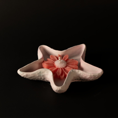 Premium Starfish Ornament/Candle Holder with Daisy Candle